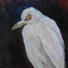 heron