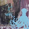 Octopus vulgaris