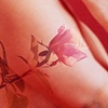 Scars1
