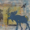 Alces alces americana