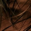 Shears