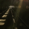 She Went Down the Railroad Tracks and Never Came Back