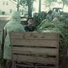 "My Father and Family Filling Barns at Uncle Davids"