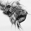 Drawings