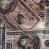 Wall Street Infestation: American Dog Ticks