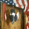 Animal Imagery