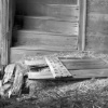 The Door