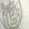 Shell: Study