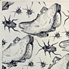 Pattern 1: Roaches 