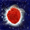 Open Heart
