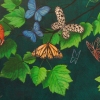Butterfly Detail