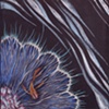 Moon: Detail 1