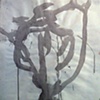 Shell: Study II