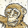 "Monkey-Drunk" 