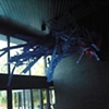 COLLAPSE I