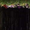 Pansies