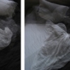 Sleep Study, Video Stills