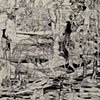 "Procession"