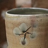 the salt blossom cup