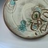 first cosmos plate