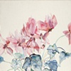 Watercolors
