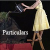 Particulars