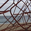 water web.