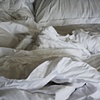 lie in it.