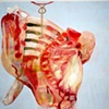 You Are What You Eat Series.