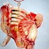 Cow Carcass II