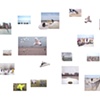 _beach project_