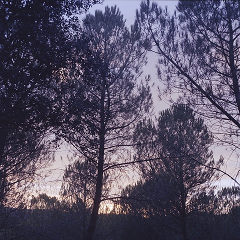 lourdes cabrera photography