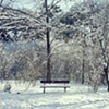 arboles