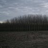 countryside