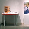 Curatorial projects 1993- 2001