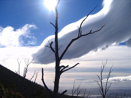 Tasmanian Clouds