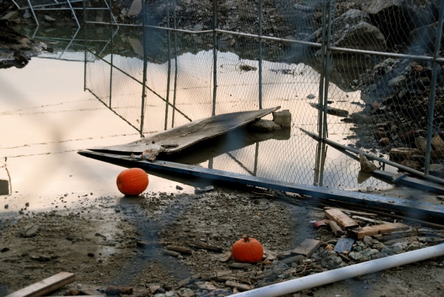 Where Pumpkins Go To Die