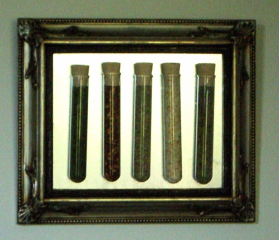 Silver Spice Lab