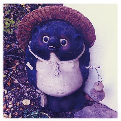 Tanuki Song