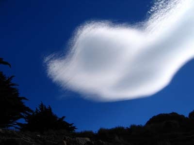 Turtle Head Cloud
