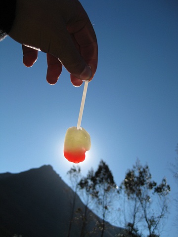 Sunsucker