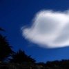 Turtle Head Cloud