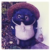 Tanuki Song