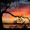 Sunrise at Milford