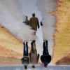 Puddles