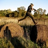 Hopping Bails