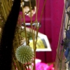 Floraworks