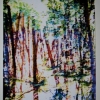 Passing Trees