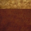 Sienna Tension