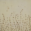 Double Burn Series: Effervescence